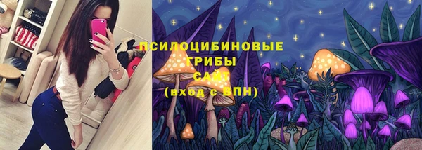 эйфоретик Галич