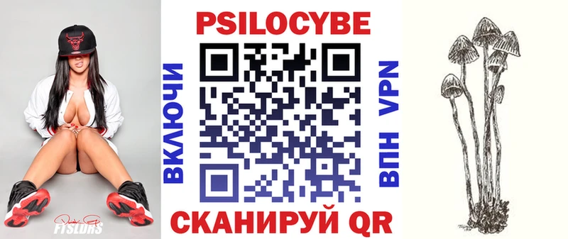 Купить где  Калач-на-Дону  Псилоцибиновые грибы Psilocybe 